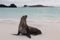 2012.09 Galapagos